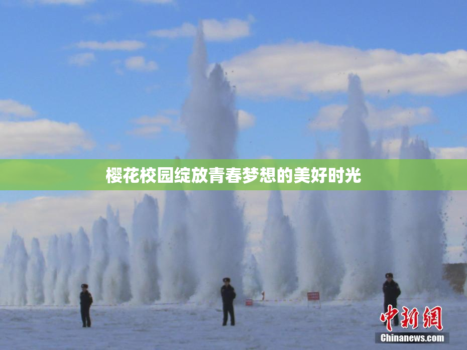 樱花校园绽放青春梦想的美好时光
