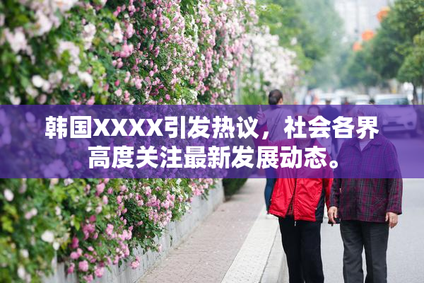 韩国XXXX引发热议，社会各界高度关注最新发展动态。