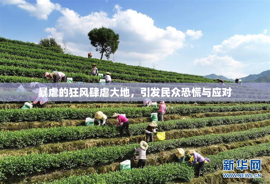 暴虐的狂风肆虐大地，引发民众恐慌与应对