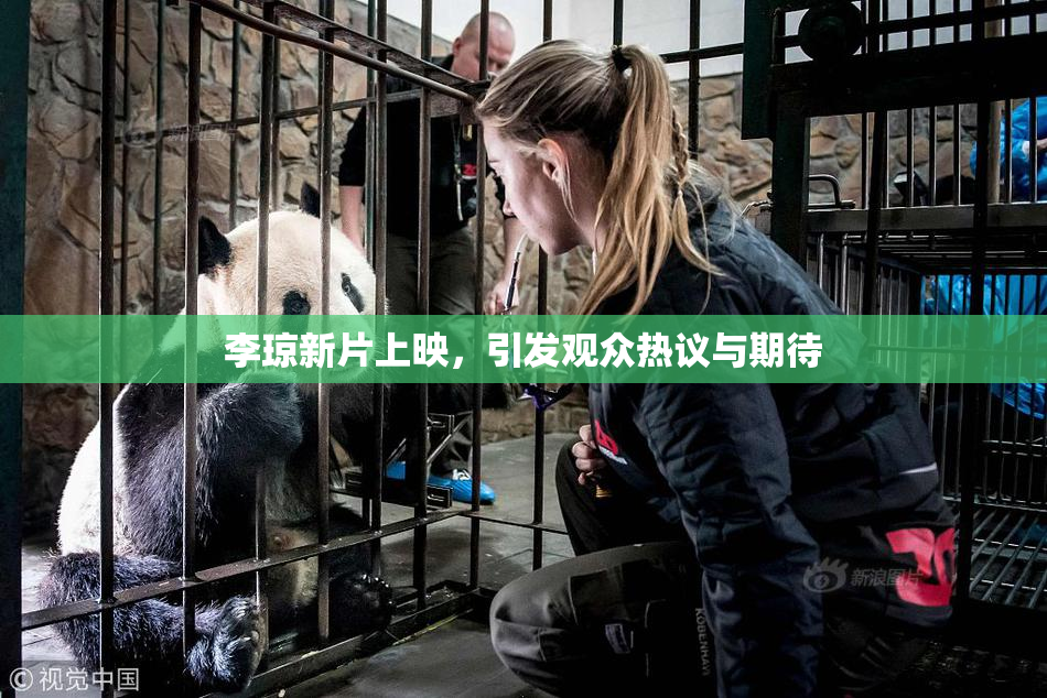 李琼新片上映，引发观众热议与期待