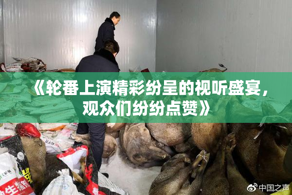 《轮番上演精彩纷呈的视听盛宴，观众们纷纷点赞》