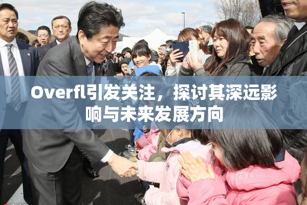 Overfl引发关注，探讨其深远影响与未来发展方向
