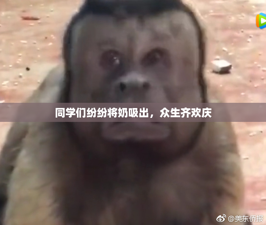 同学们纷纷将奶吸出，众生齐欢庆