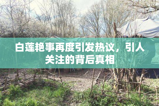 白莲艳事再度引发热议，引人关注的背后真相
