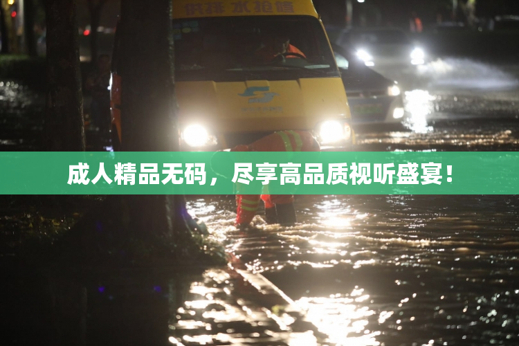 成人精品无码，尽享高品质视听盛宴！