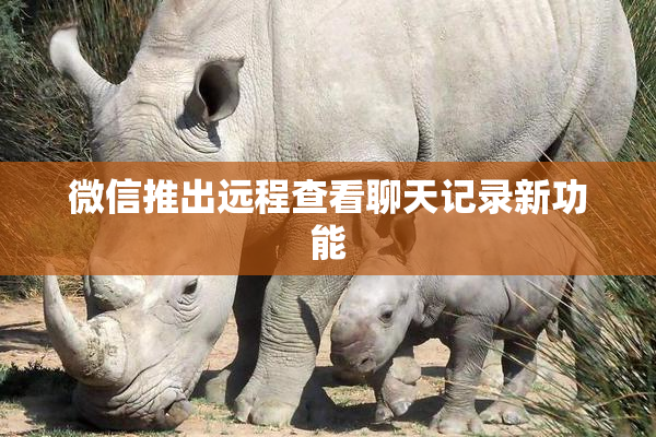 微信推出远程查看聊天记录新功能