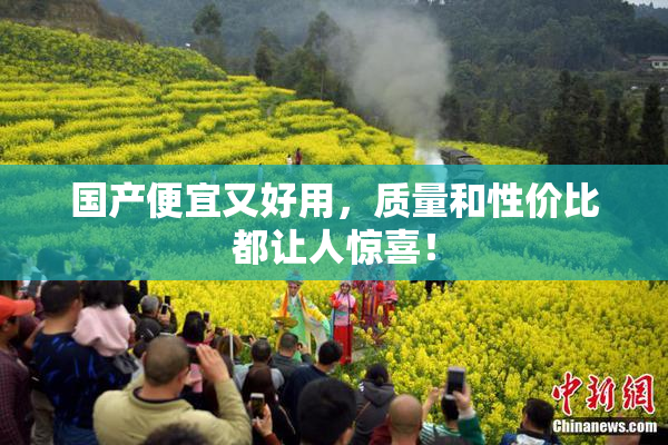 国产便宜又好用，质量和性价比都让人惊喜！