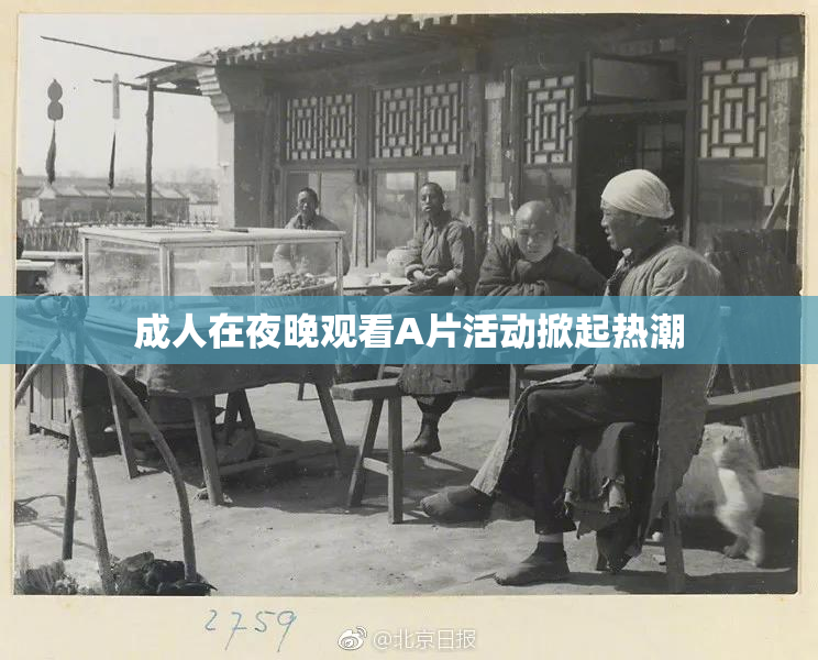 成人在夜晚观看A片活动掀起热潮