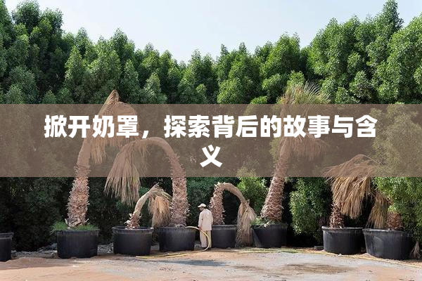 掀开奶罩，探索背后的故事与含义