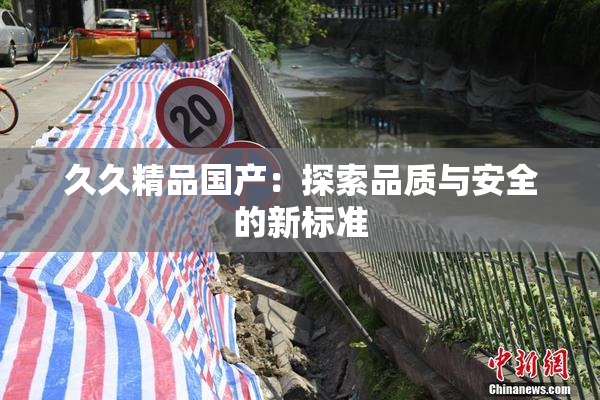久久精品国产：探索品质与安全的新标准
