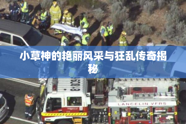 小草神的艳丽风采与狂乱传奇揭秘