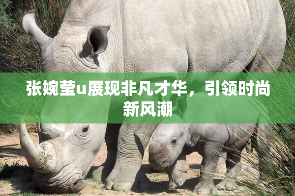 张婉莹u展现非凡才华，引领时尚新风潮