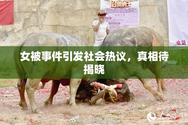 女被事件引发社会热议，真相待揭晓