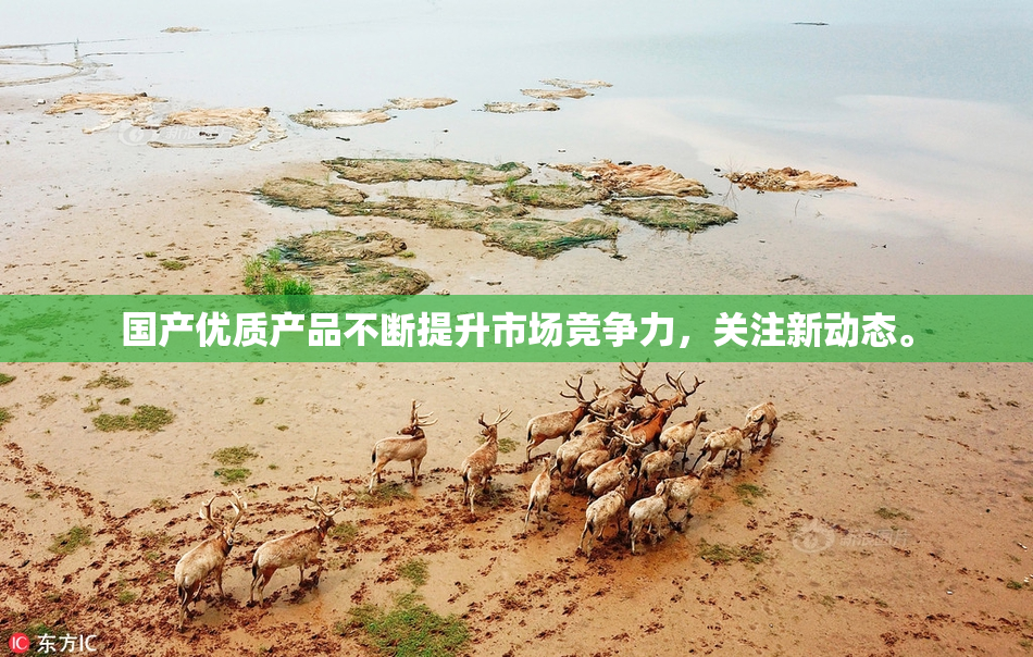 国产优质产品不断提升市场竞争力，关注新动态。