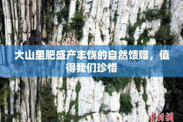 大山里肥盛产丰饶的自然馈赠，值得我们珍惜