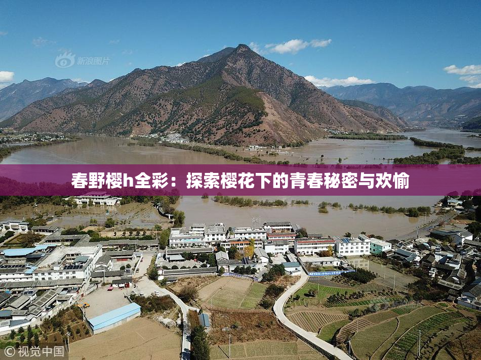 春野樱h全彩：探索樱花下的青春秘密与欢愉