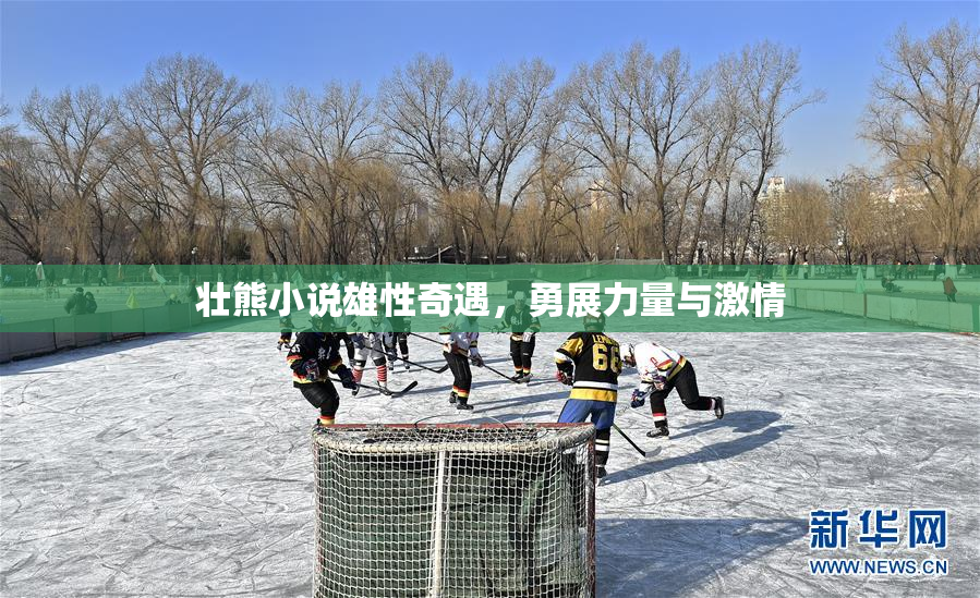 壮熊小说雄性奇遇，勇展力量与激情