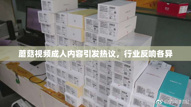 蘑菇视频成人内容引发热议，行业反响各异
