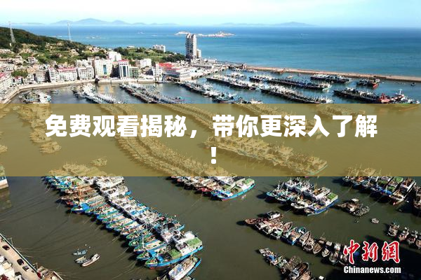 免费观看揭秘，带你更深入了解！