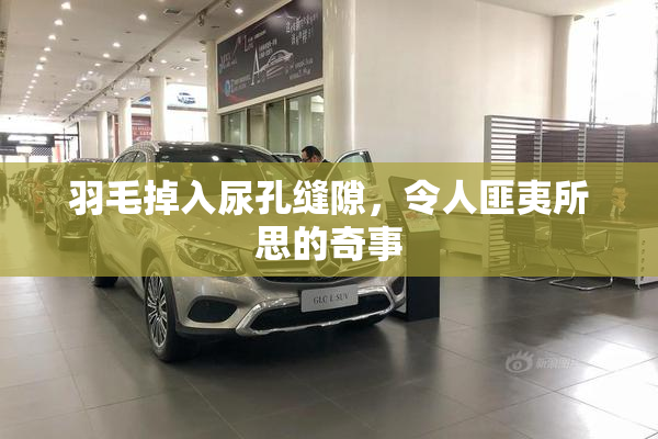 羽毛掉入尿孔缝隙，令人匪夷所思的奇事