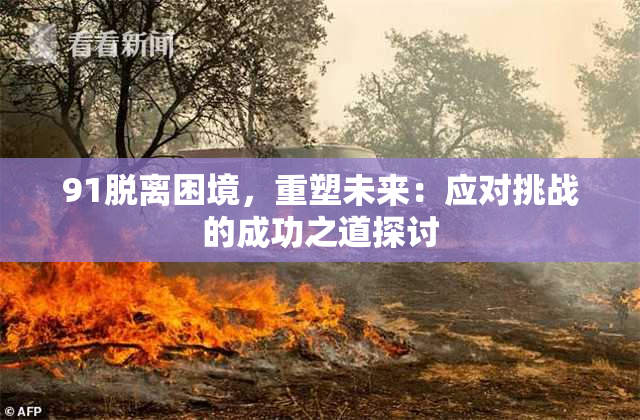 91脱离困境，重塑未来：应对挑战的成功之道探讨