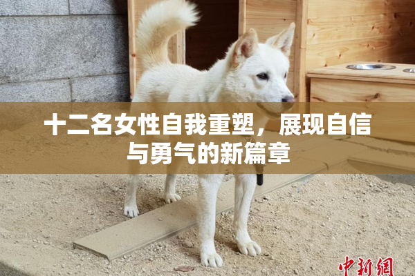 十二名女性自我重塑，展现自信与勇气的新篇章
