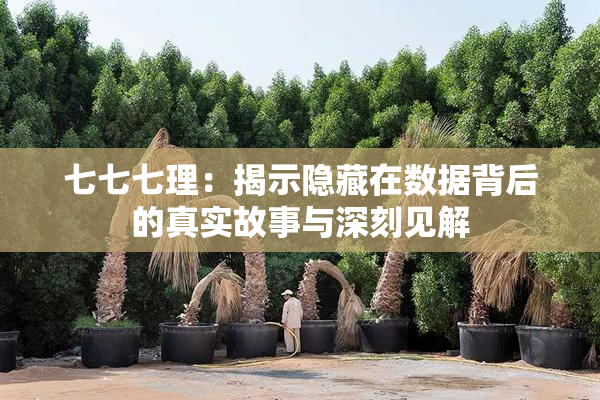 七七七理：揭示隐藏在数据背后的真实故事与深刻见解