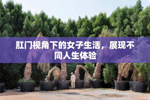 肛门视角下的女子生活，展现不同人生体验