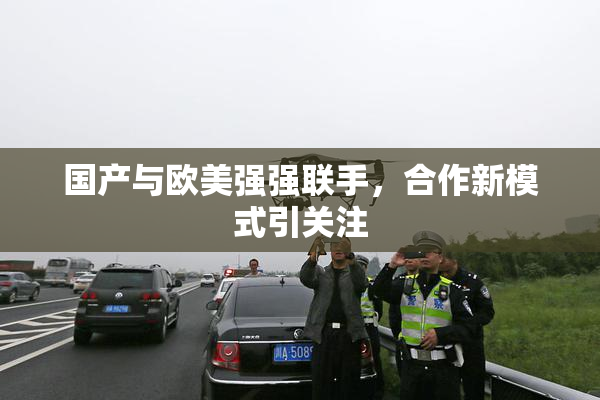 国产与欧美强强联手，合作新模式引关注