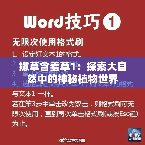 嫩草含羞草1：探索大自然中的神秘植物世界