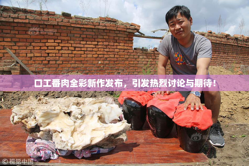 口工番肉全彩新作发布，引发热烈讨论与期待！