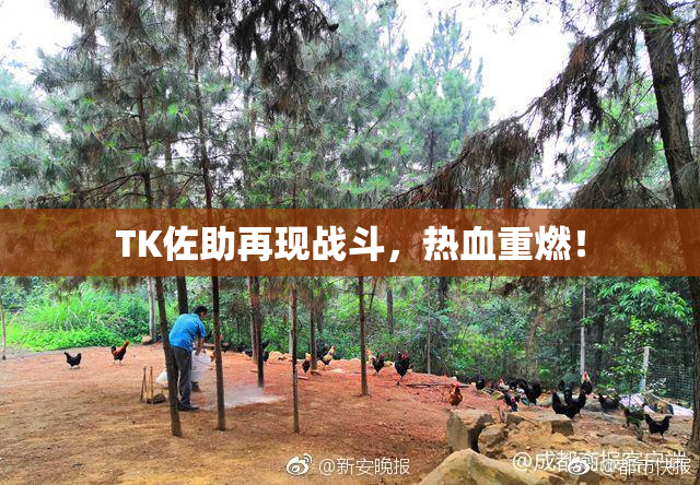 TK佐助再现战斗，热血重燃！