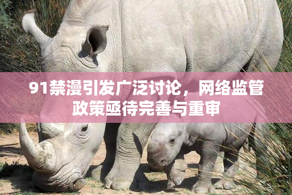 91禁漫引发广泛讨论，网络监管政策亟待完善与重审