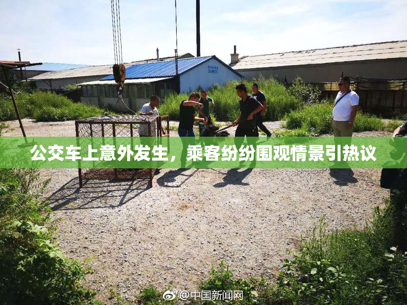 公交车上意外发生，乘客纷纷围观情景引热议