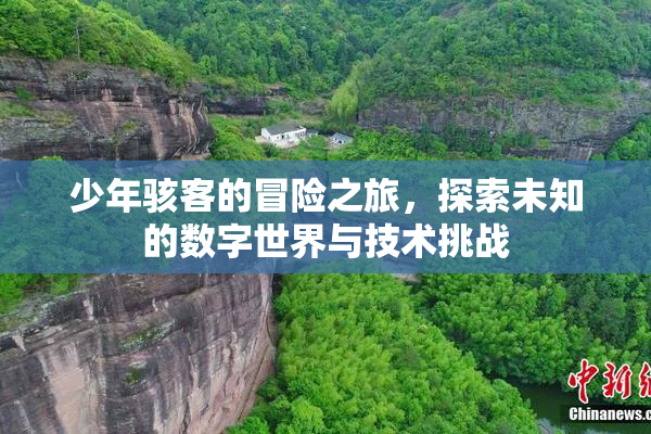 少年骇客的冒险之旅，探索未知的数字世界与技术挑战