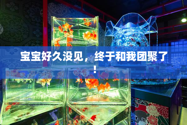 宝宝好久没见，终于和我团聚了！