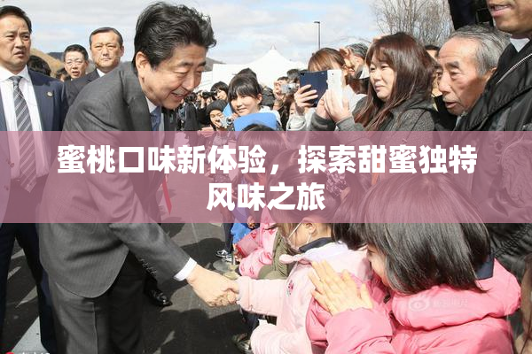 蜜桃口味新体验，探索甜蜜独特风味之旅