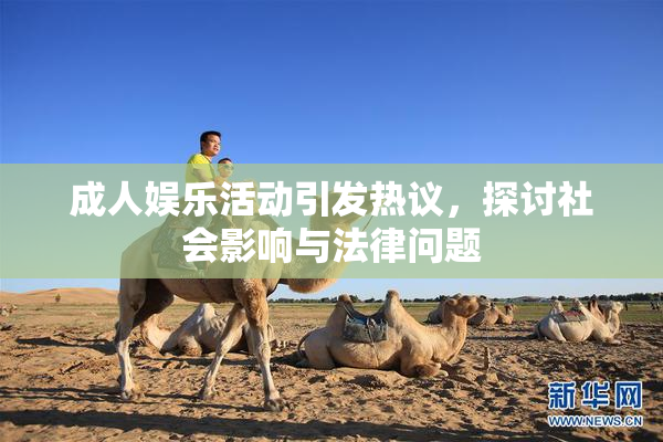 成人娱乐活动引发热议，探讨社会影响与法律问题
