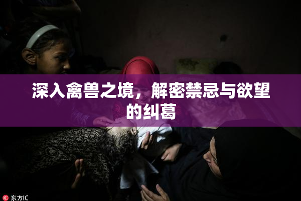 深入禽兽之境，解密禁忌与欲望的纠葛