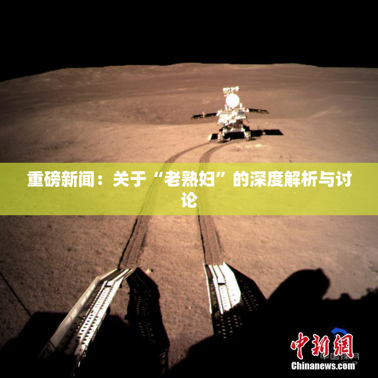 重磅新闻：关于“老熟妇”的深度解析与讨论