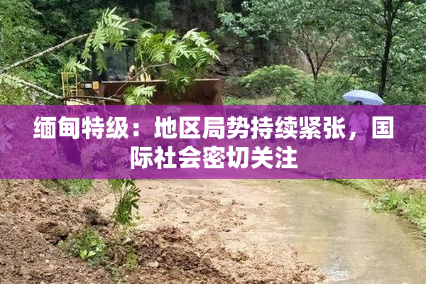 缅甸特级：地区局势持续紧张，国际社会密切关注