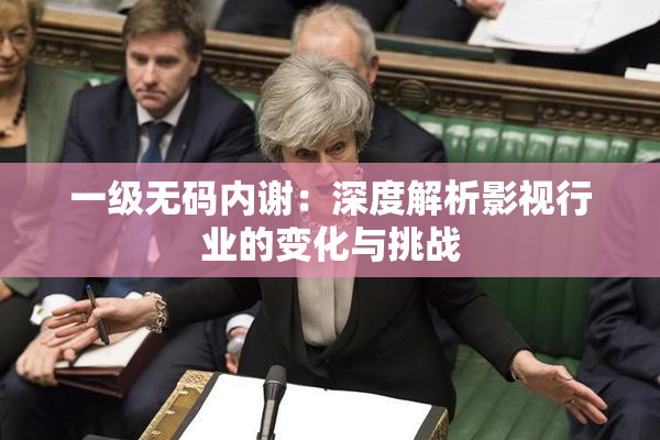 一级无码内谢：深度解析影视行业的变化与挑战