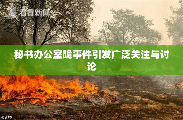 秘书办公室跪事件引发广泛关注与讨论
