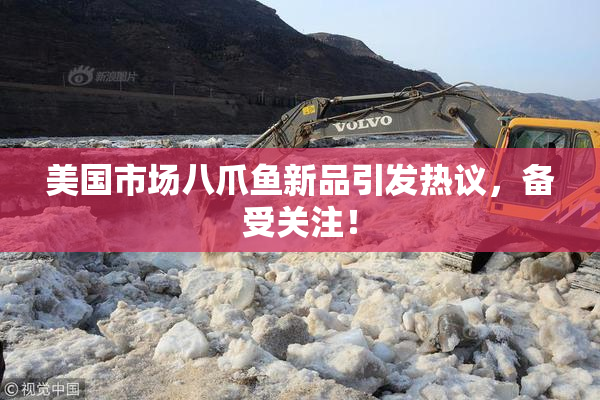美国市场八爪鱼新品引发热议，备受关注！