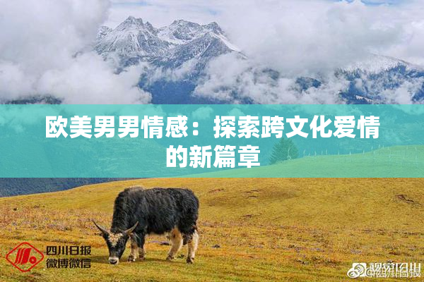 欧美男男情感：探索跨文化爱情的新篇章