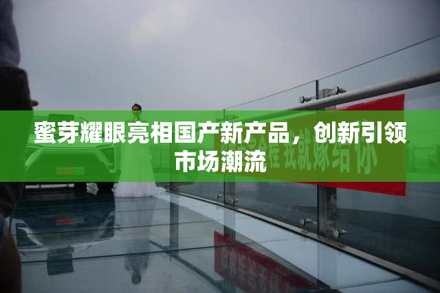 蜜芽耀眼亮相国产新产品，创新引领市场潮流
