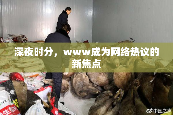 深夜时分，www成为网络热议的新焦点