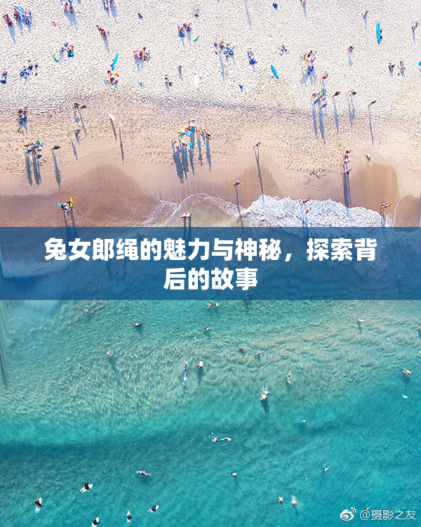 兔女郎绳的魅力与神秘，探索背后的故事