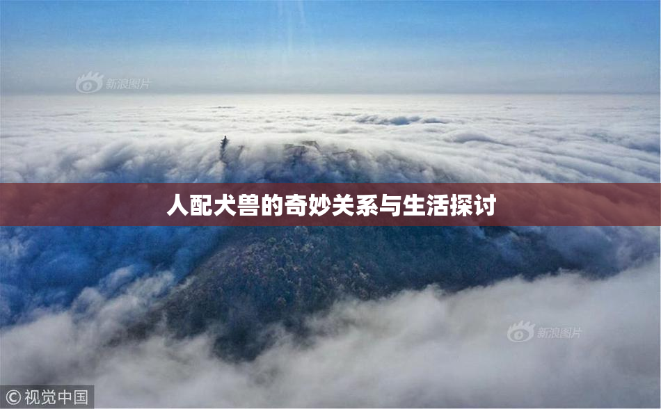 人配犬兽的奇妙关系与生活探讨