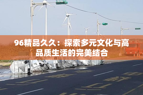 96精品久久：探索多元文化与高品质生活的完美结合